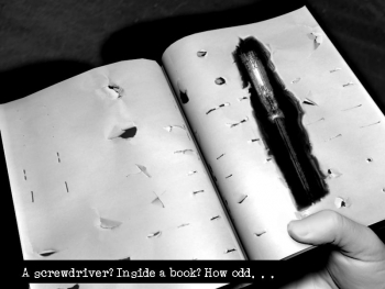 Downfall Redux Screenshot